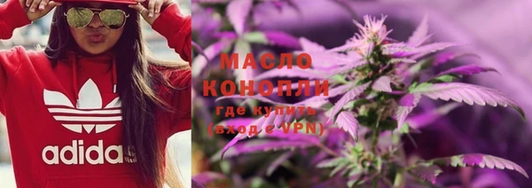 дмт Костерёво