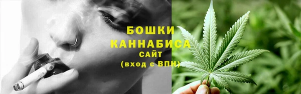 крисы Краснотурьинск