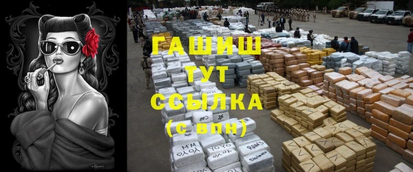 дмт Костерёво