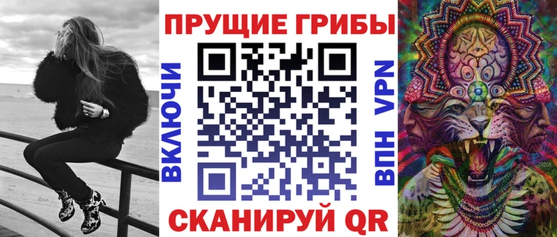 ссылка на мегу ONION Новопавловск Галлюциногенные грибы MAGIC MUSHROOMS купить цена